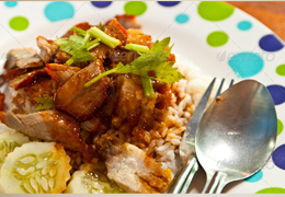 网络短信免费版